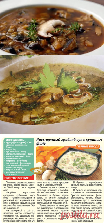 1001 полезный совет: Грибной суп: полезные и вредные свойства блюда