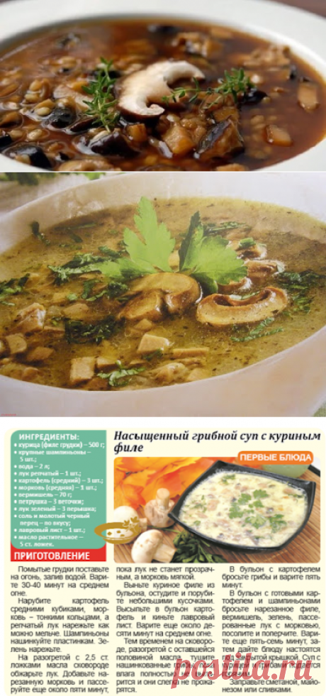 1001 полезный совет: Грибной суп: полезные и вредные свойства блюда