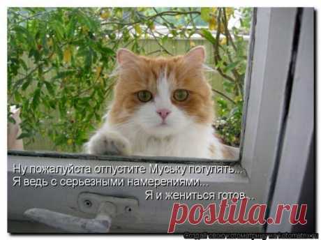 Василий Тимошин vasiliy-timoshin - Москва, Россия, 61 год на Мой Мир@Mail.ru
