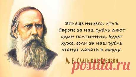 20 метких цитат Салтыкова-Щедрина: не в бровь, а в глаз – Фитнес для мозга