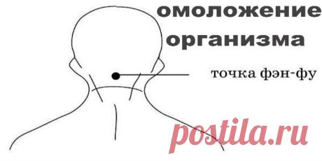 Точка Фэн-Фу и омоложение организма