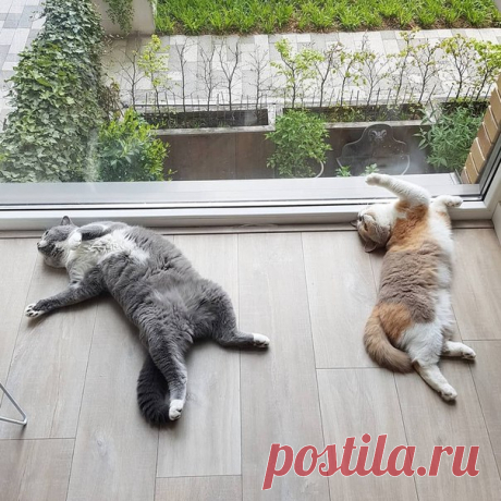 Нам хорошо:)
