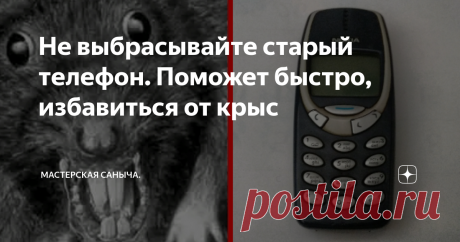 Не выбрасывайте старый телефон. Поможет быстро, избавиться от крыс Сосед подсказал, действенный способ.
Дорогие подписчики и гости канала.
До года "крысы", у нас осенью приходили в "гости" , только мыши.
Этой осенью, всё изменилось, не в лучшую сторону.