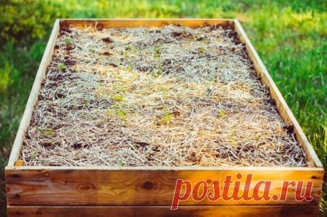 16 оригинальных способов использования древесных опилок на даче