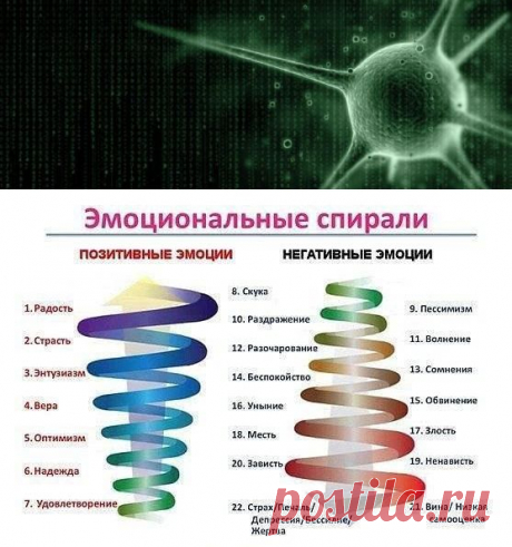 (6) Биологическое декодирование/тотальная биология
