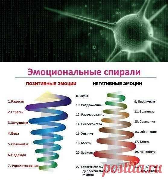 (6) Биологическое декодирование/тотальная биология