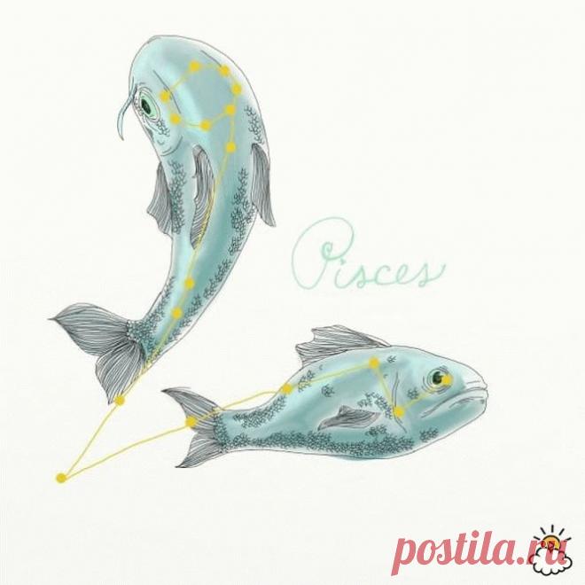 Фантастически точный прогноз на 2016 год для всех знаков Зодиака »