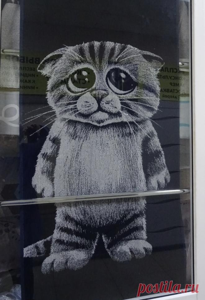 котик - полотенце