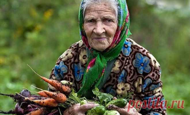 Налог на пучок укропа, грибы и карасей. Что дальше ждет россиян? | MASTER-FISHER.RU | Яндекс Дзен