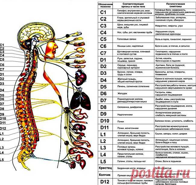 взаимосвязи
