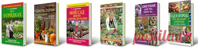 Огород без хлопот
