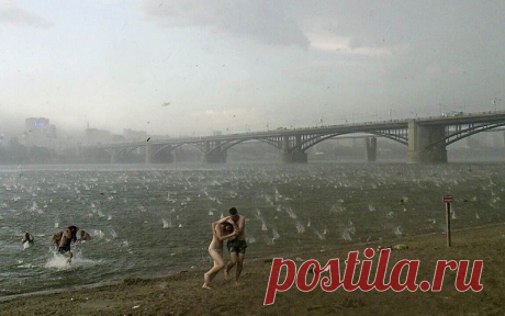 Лучшие фотографии со всего мира за неделю • НОВОСТИ В ФОТОГРАФИЯХ