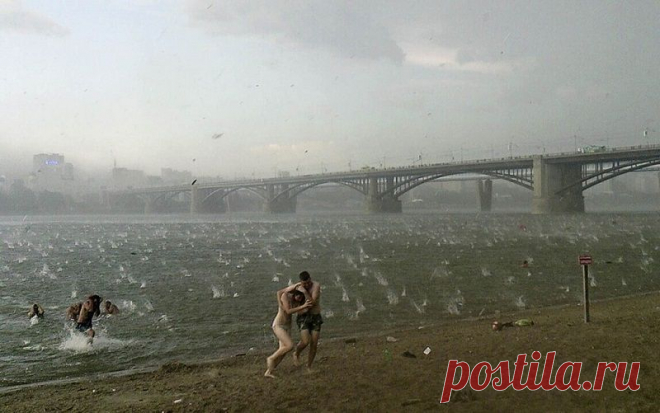 Лучшие фотографии со всего мира за неделю • НОВОСТИ В ФОТОГРАФИЯХ