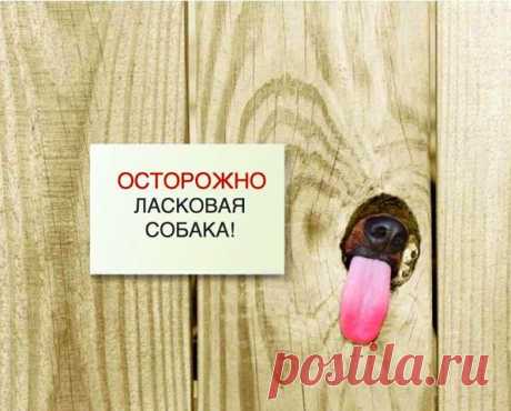 ☑ Зацепило? Добавляйся !☚(ړײ)✌
СВЕТЛАНА ОРЛОВА