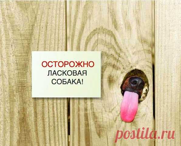☑ Зацепило? Добавляйся !☚(ړײ)✌
СВЕТЛАНА ОРЛОВА
