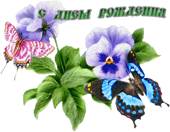 с днем рождения