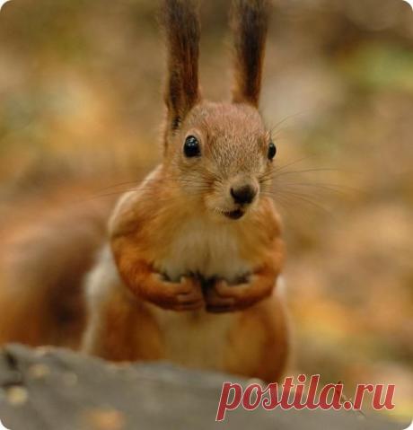 ТАМАРА КОЛИНЧЕНКО - Киев, Украина на Мой Мир@Mail.ru