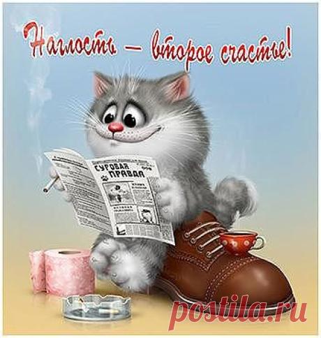 (53) Одноклассники