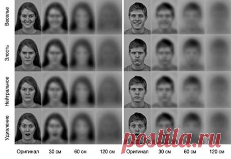 Ученые показали, как новорожденные видят родителей: ↪ Они РЕАЛЬНО все понимают!