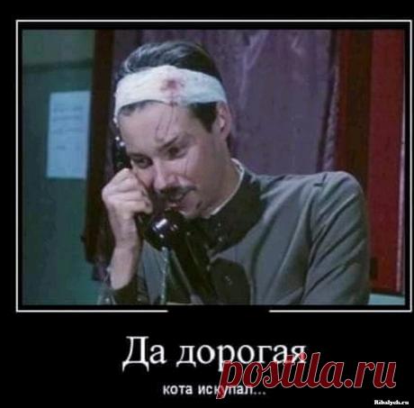 Такой юмор: 40 картинок для поднятия настроения . Тут забавно !!!