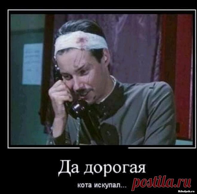 Такой юмор: 40 картинок для поднятия настроения . Тут забавно !!!