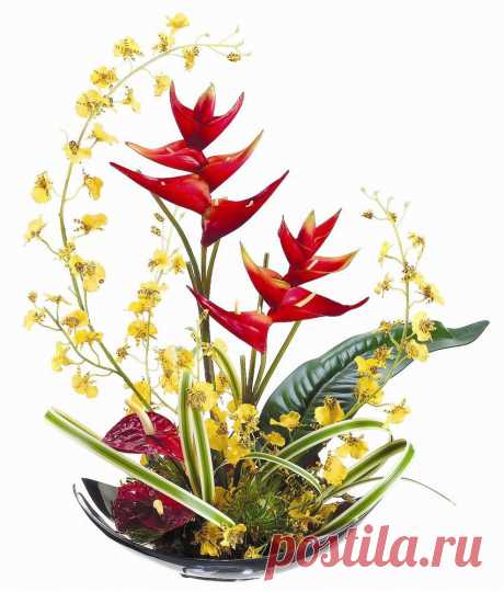 Allstate Floral 24&quot; Orange Yellow Oncidium w Tropical on Aluminum Plate | ShopLadder
