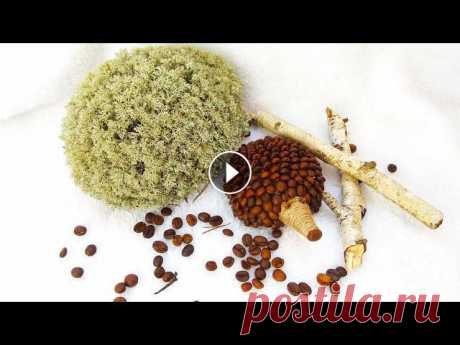 Ежик из кофейных зерен.  Поделки своими руками.  DIY Hedgehog of coffee. Ежик из кофейных зерен. Ежик из кофейных зеренЗерна кофе – это отличный материал для создания потрясающих кофейных поделок. Они имеют очень приятный т...