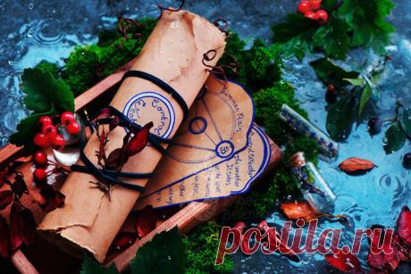 Чем занять себя дождливым октябрем: осенние мотивы от фотографа из Хабаровска