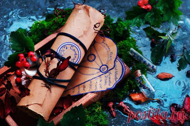 Чем занять себя дождливым октябрем: осенние мотивы от фотографа из Хабаровска