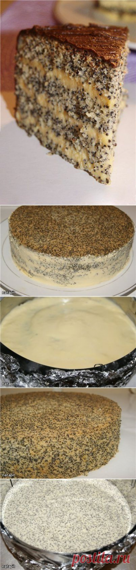 Торт &quot;Маковый&quot;