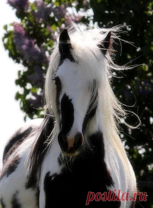 Желания. и другие материалы. Новое в Вашей подборке на Постиле - eliw09@mail.ru - Почта Mail.Ru