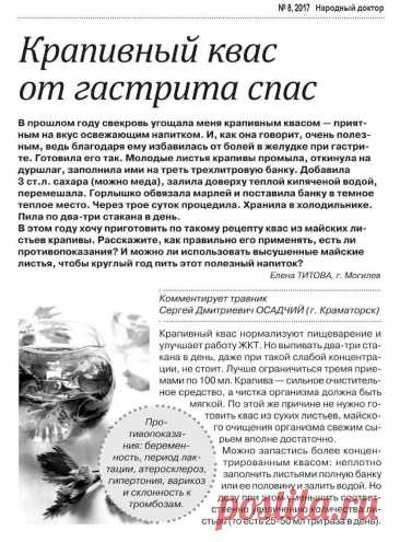 Крапивный квас от гастрита спас