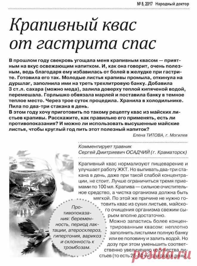 Крапивный квас от гастрита спас
