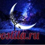 смешные видео без мата😉 (@_lezgistan001) • Фото и видео в Instagram