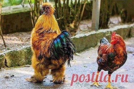 Для Души. Добавлена фотография