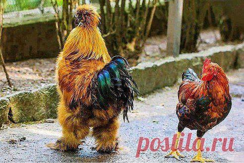 Для Души. Добавлена фотография