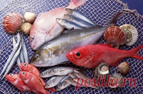 Серьезный улов: принципы готовки идеальной рыбы