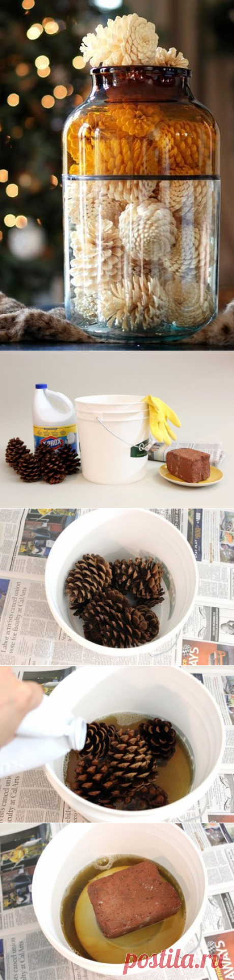 Как отбелить сосновые шишки