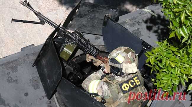 В Брянской области задержали украинских диверсантов