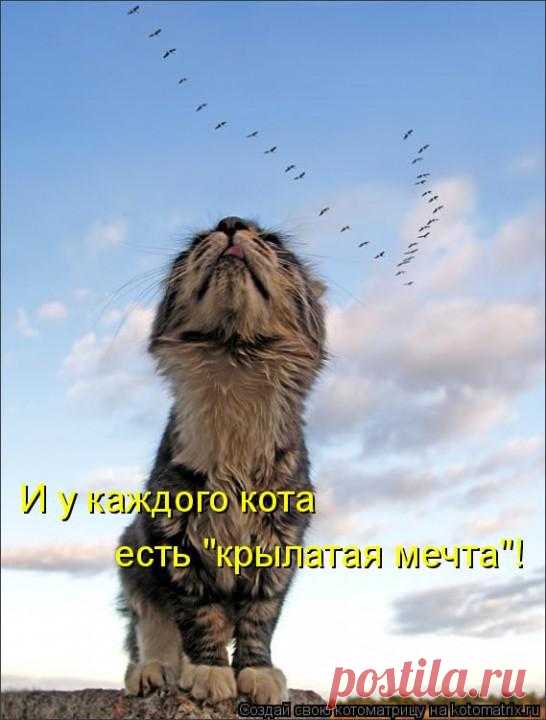 мечта...
