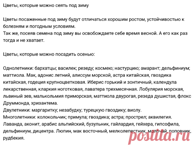 Цветы, которые можно сеять под зиму