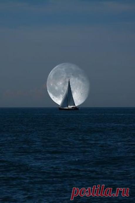 by the light of the moon