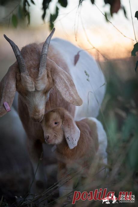 Pillanatok — aquariusplanet: ircimages: It is my cakeday,...