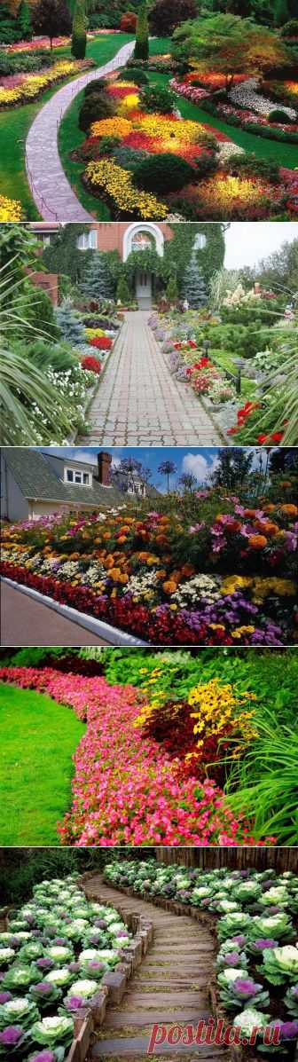 Рабатка – необычное украшение садового участка | 6 соток