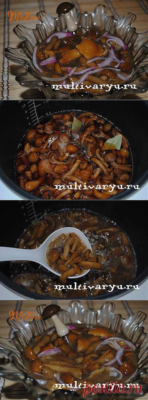 Опята маринованные в мультиварке » Мультиварка - легко готовить, вкусно есть! | Мультиварка - легко готовить, вкусно есть!