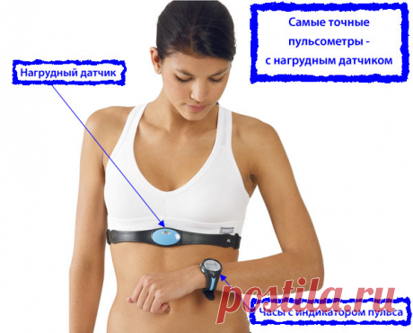 Оздоровительный бег трусцой, плаванье и другие кардио-тренировки