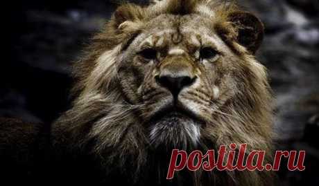 Слишком много переживаем. Слишком серьезно воспринимаем. Надо относится ко всему проще. Но с умом. Без нервов. Главное думать. И не делать глупостей.