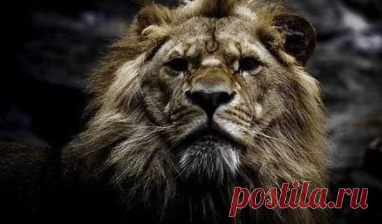 Слишком много переживаем. Слишком серьезно воспринимаем. Надо относится ко всему проще. Но с умом. Без нервов. Главное думать. И не делать глупостей.