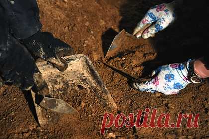 Уникальный набросок европейских мастеров нашли во Владимирской области. Археологи Древнерусской экспедиции, организованной Эрмитажем, обнаружили на территории Александрова Владимирской области уникальный инженерный набросок. Как отмечается, найденный рисунок является первым известным в России инженерным наброском, созданным европейскими мастерами.