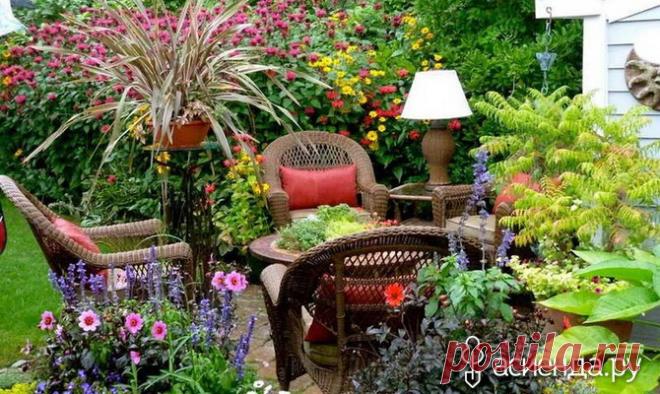 Оригинальные советы огороднику. Часть 3 / Асиенда.ру